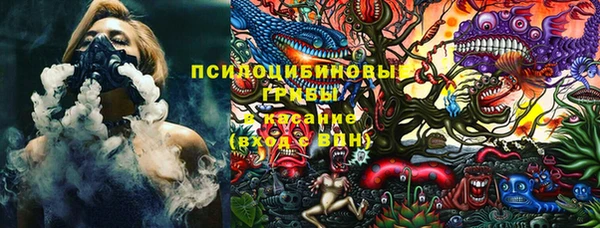 соль курить ск Горняк