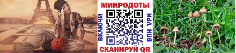 Галлюциногенные грибы GOLDEN TEACHER что такое Нефтеюганск